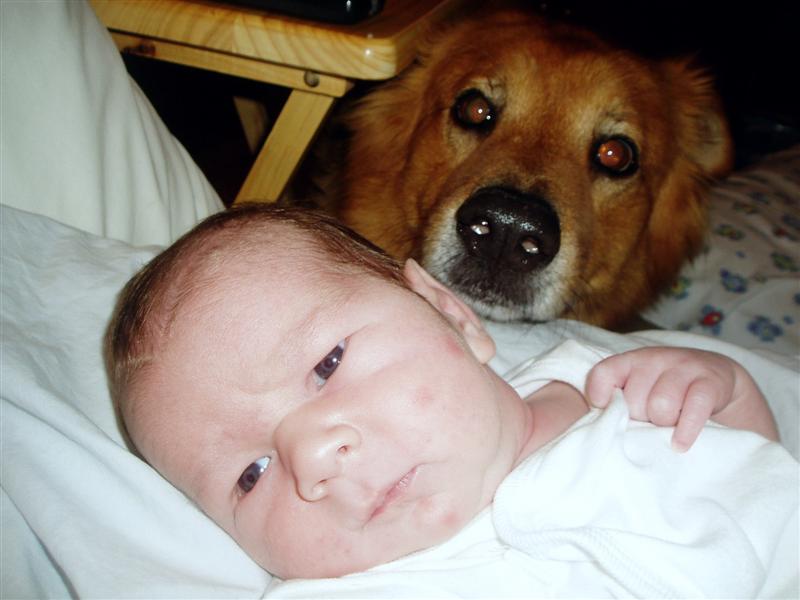 I just learned about dog breath.