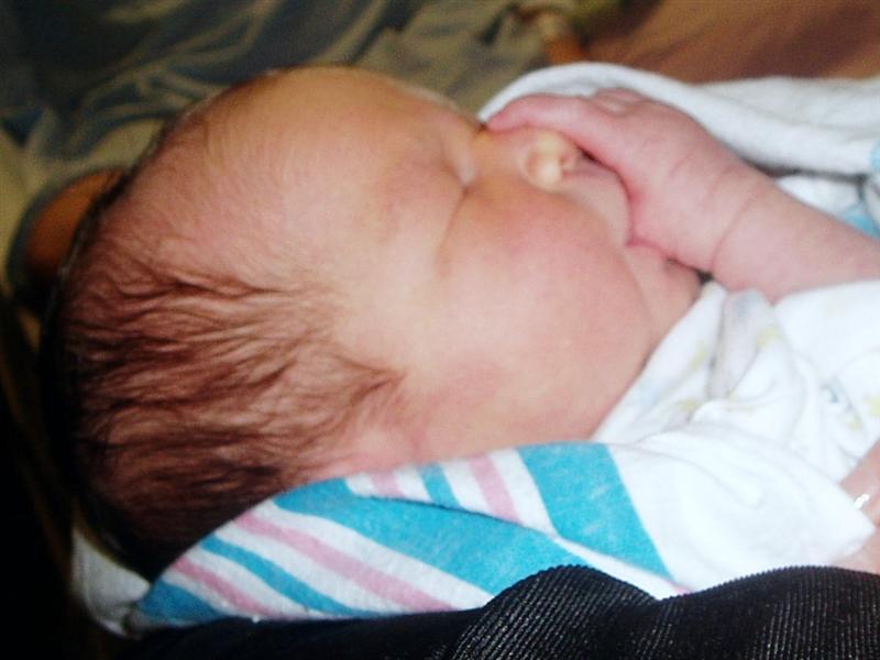 Perfect fit. I need to protect my nose.